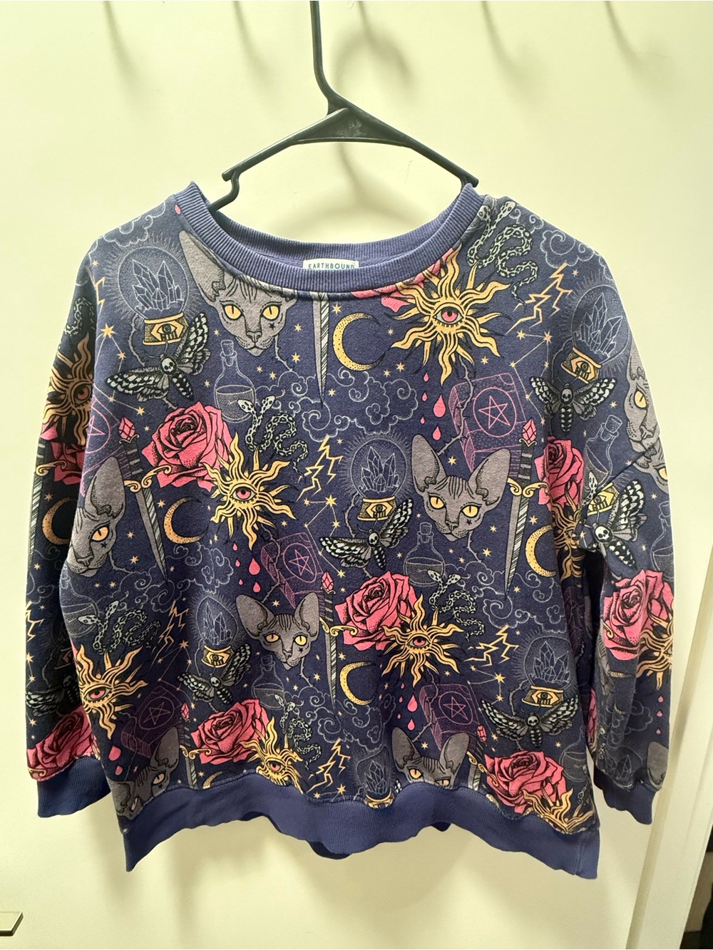 Earthbound Mystical Crewneck Sweater